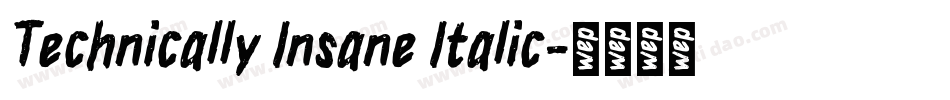 Technically Insane Italic字体转换
